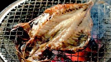 アジの干物 / 12