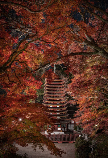 談山神社2402289