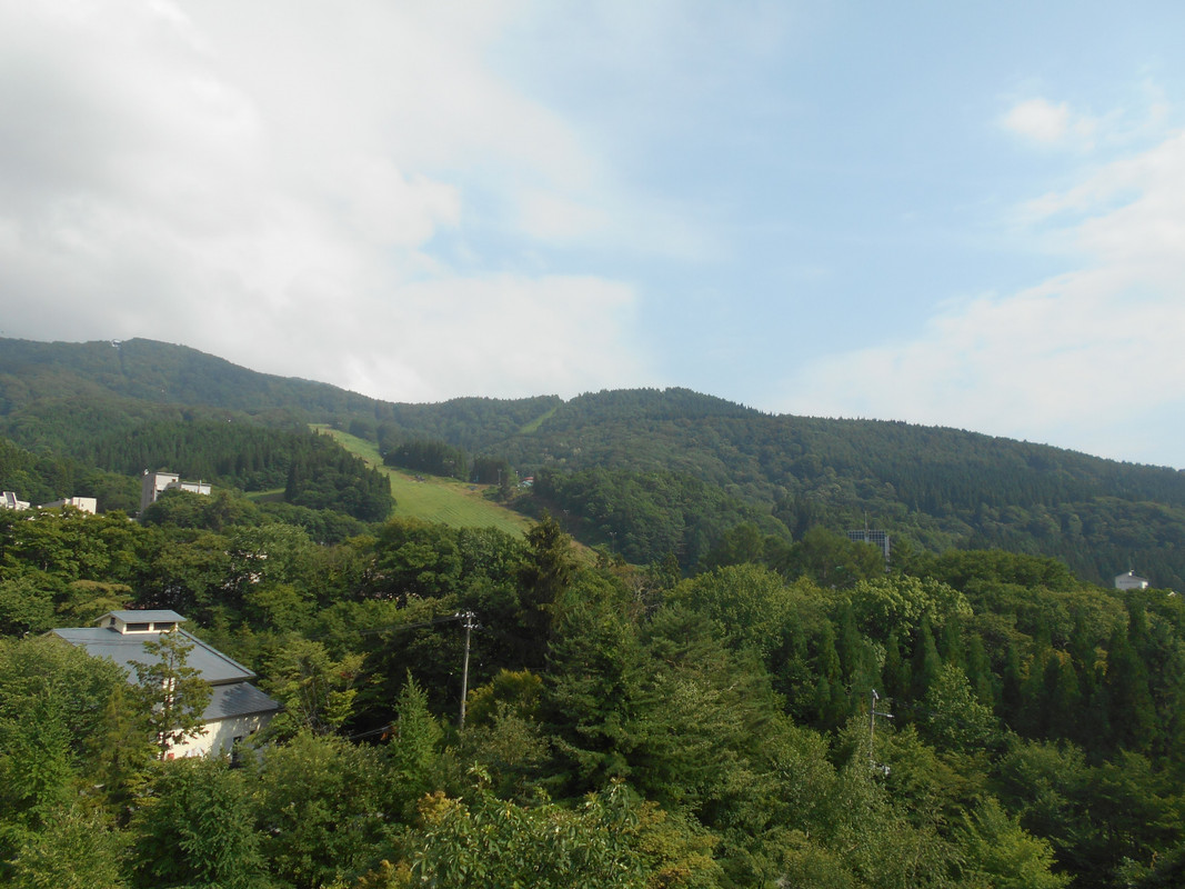 客室からの眺め