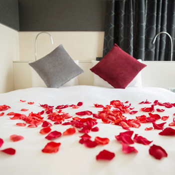 誕生日のお祝いにも♪充実のアニバーサリーサービス4260230