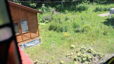 施設の敷地 / 24