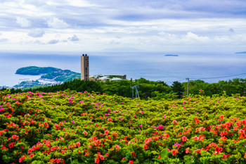 (Kanagawa) Yugawara Hoshigayama Park Satsuki no Sato