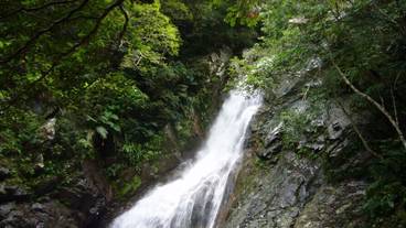 観光スポット / 6