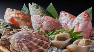 食事・飲み物 / 5