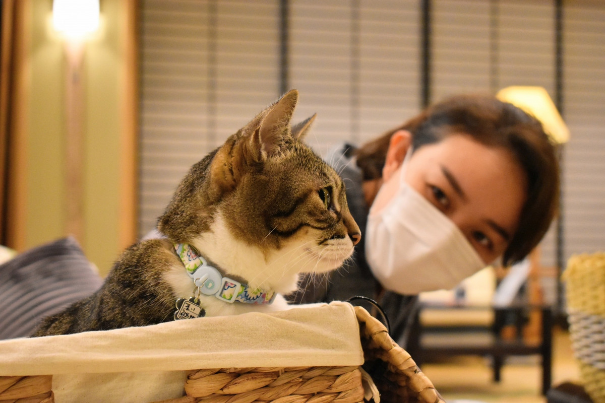 看板猫様がかわいい!