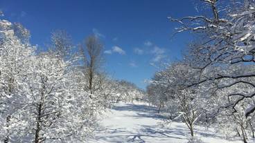 施設の敷地 / 21