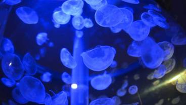 観光スポット / 2