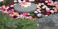【奈良】ご利益祈願の開運ひとり旅♡大和四寺巡礼と参拝グルメ