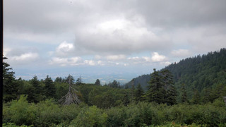 和室　バレービュー　禁煙