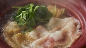 食事・飲み物 / 15