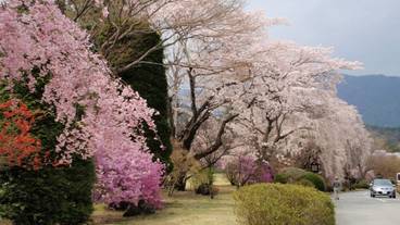 施設からの眺望 / 4