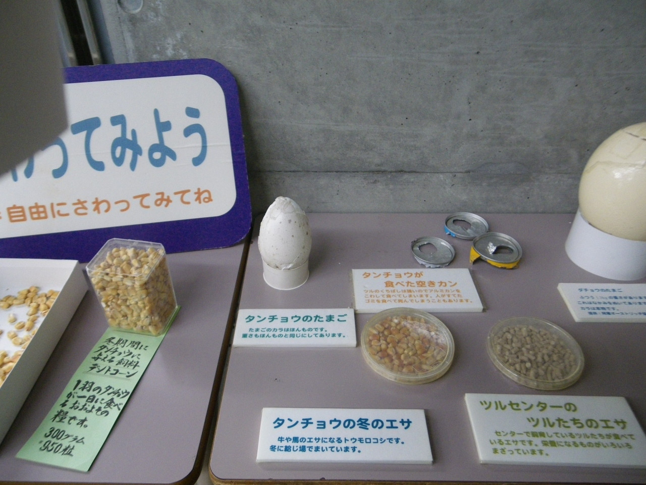 3.阿寒国際ツルセンター1148700