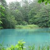 五色沼湖沼群（ゴシキヌマコショウグン）
