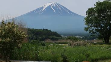 ランド ビュー / 10