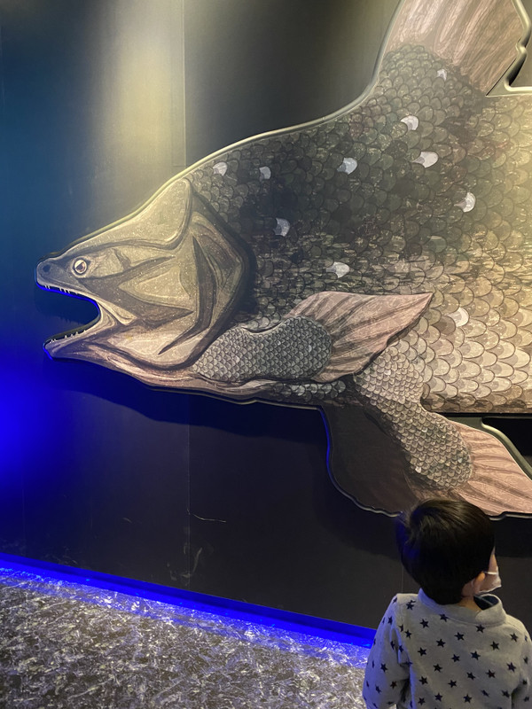 riochi_odekakeさんの写真 / 5