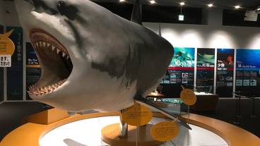 観光スポット / 7