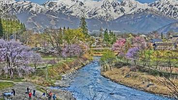 施設の敷地 / 10