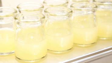 ビュッフェ / 27