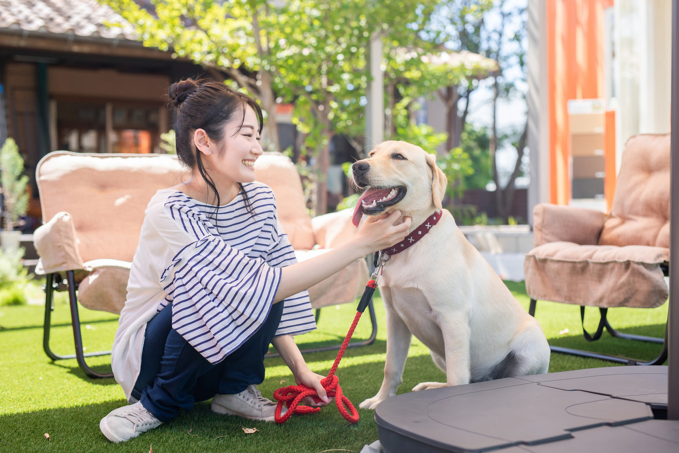 犬と女性