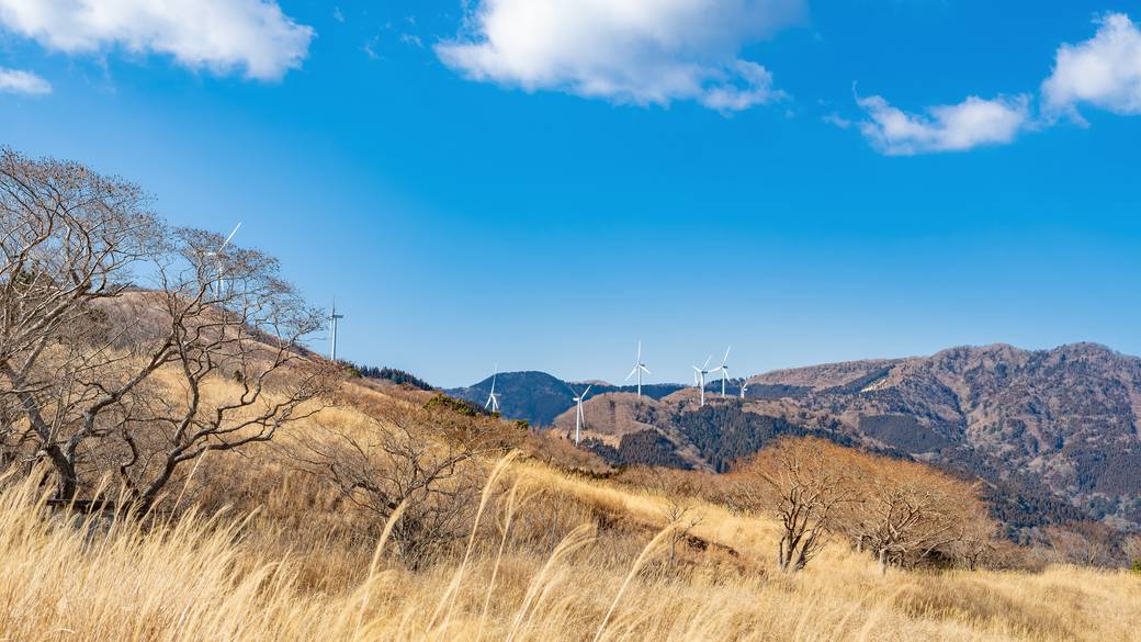 ススキで有名な
「稲取細野高原」へ / 1