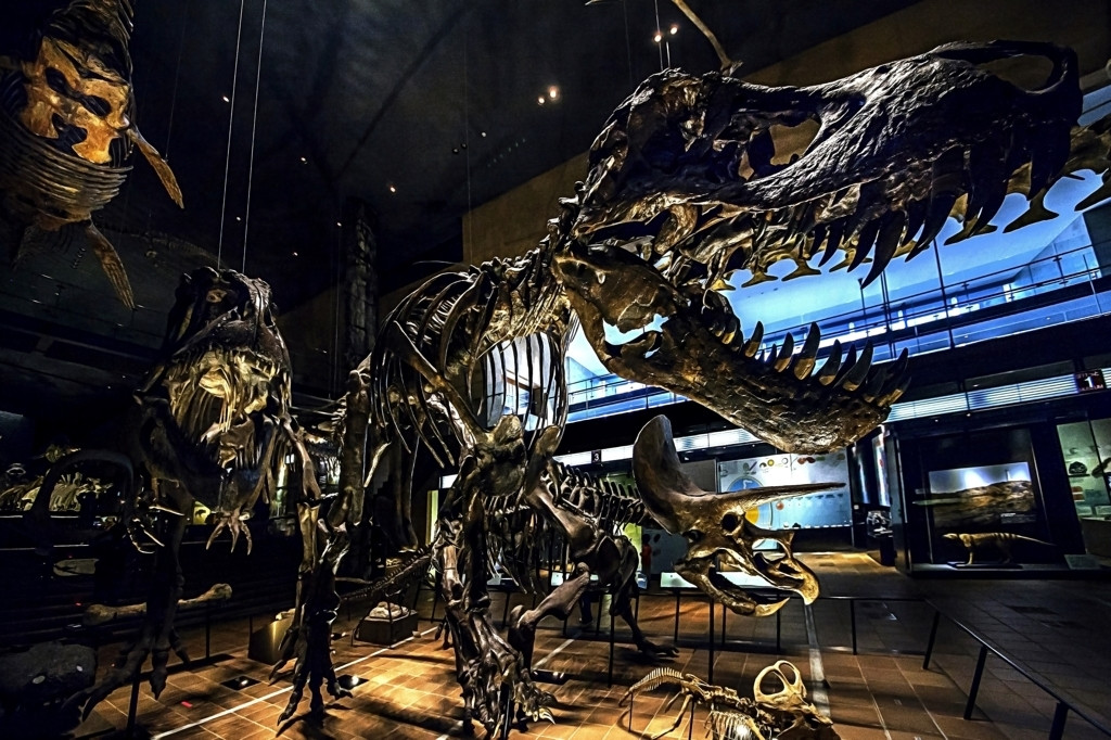 9　圧倒的スケールの恐竜博物館は必見！「北九州市立いのちのたび博物館」1383494