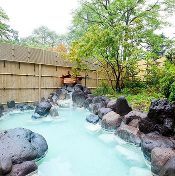 奥日光随一の規模を誇る露天風呂と奥日光の味覚を楽しむ！3848601