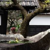 Nazuna 飫肥 城下町温泉(宮崎県 町家) / 5