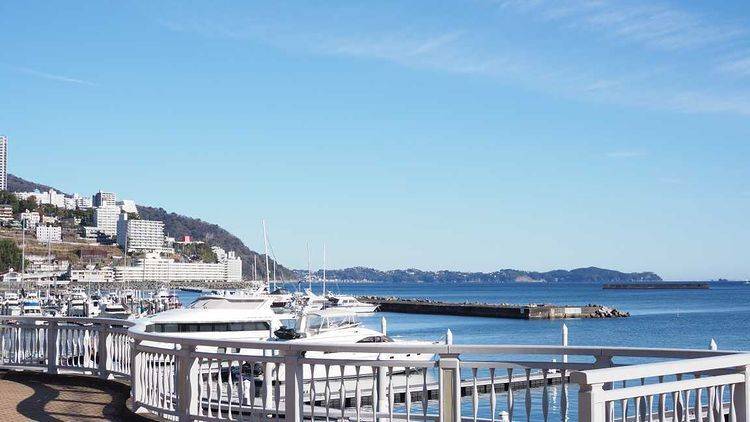 潮風に吹かれながら
熱海駅までお散歩♪ / 1