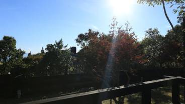 施設からの眺望 / 14