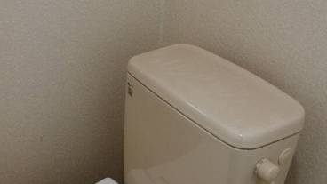 客室の設備とサービス / 30