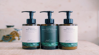 やんばる-Yambaru- (禁煙室) 定員1 ~ 4名