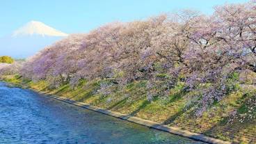 ランド ビュー / 36