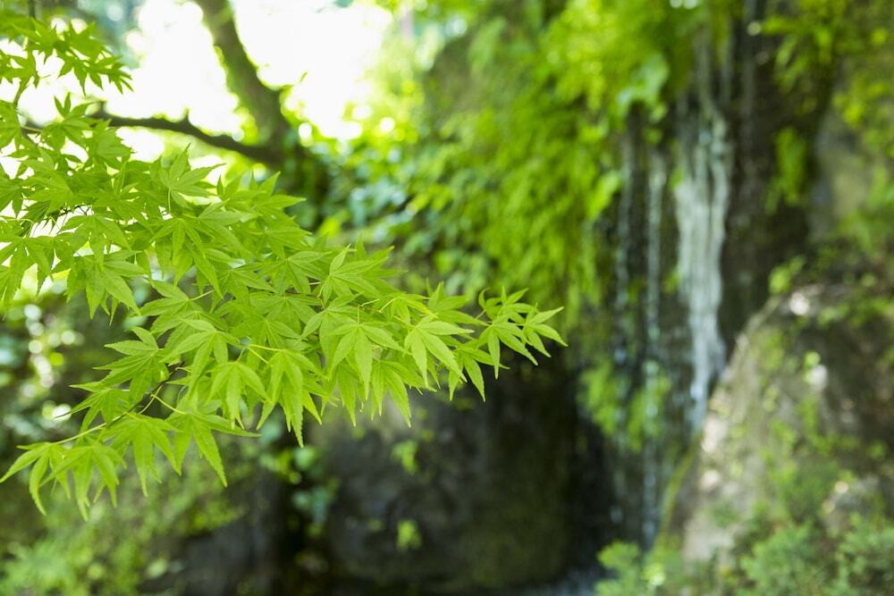 施設からの眺望