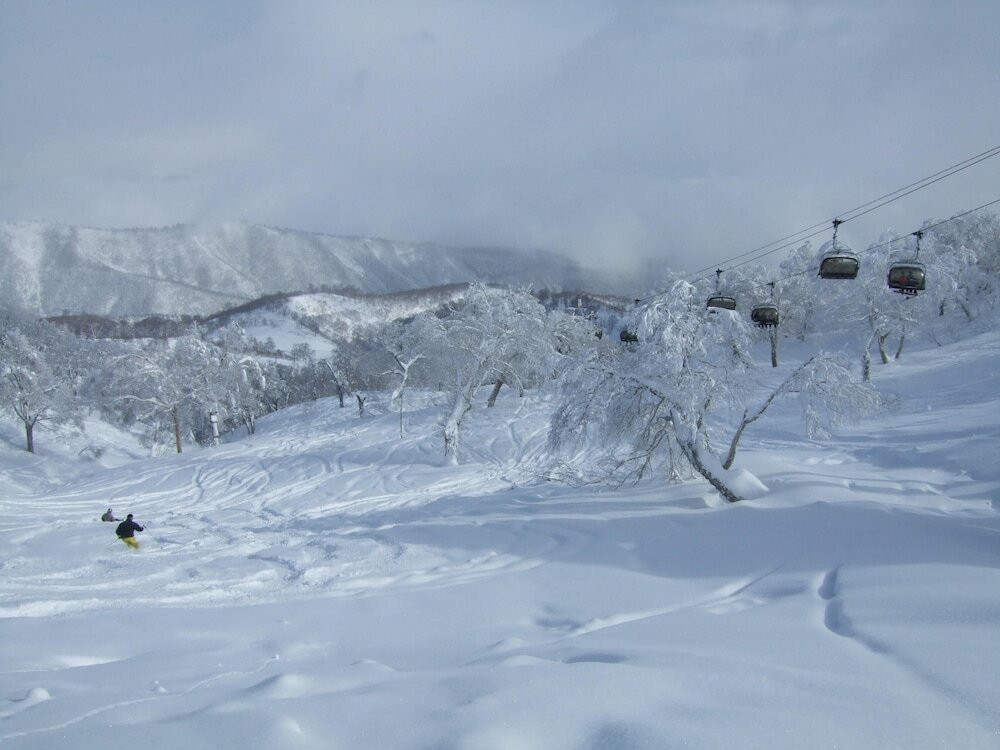 スノー スポーツとスキー