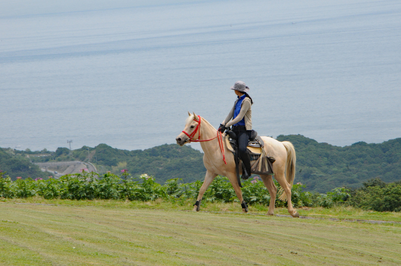 あわじ花さじき　近隣　ハーモニーファーム淡路　乗馬クラブ