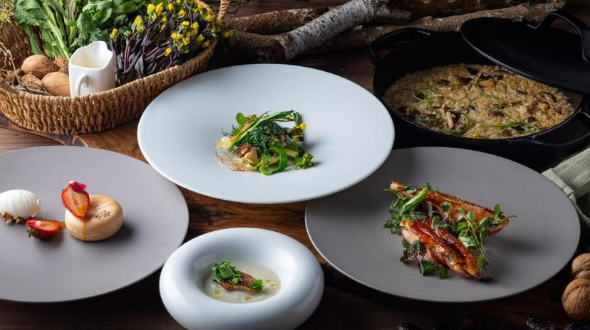 旧軽井沢KIKYOキュリオ・コレクションbyヒルトン（キュウカルイザワキキョウキュリオ・コレクションバイヒルトン） / 1