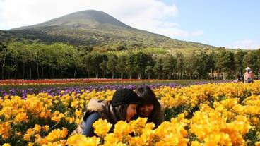 施設の敷地 / 13
