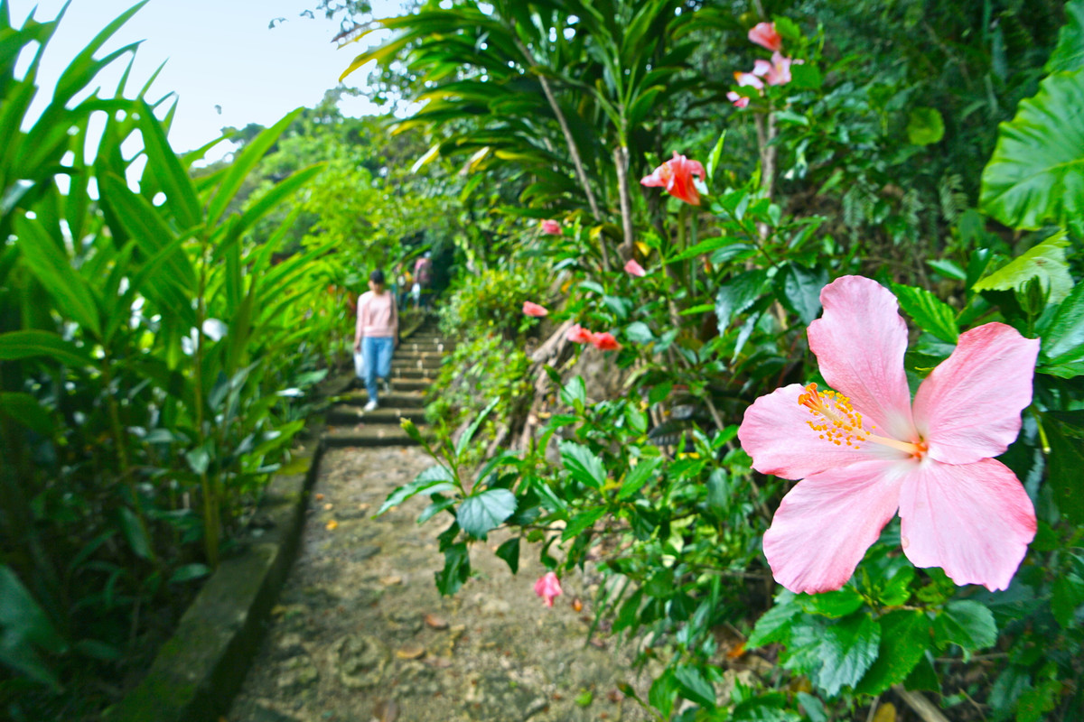 さちばるの庭(1)