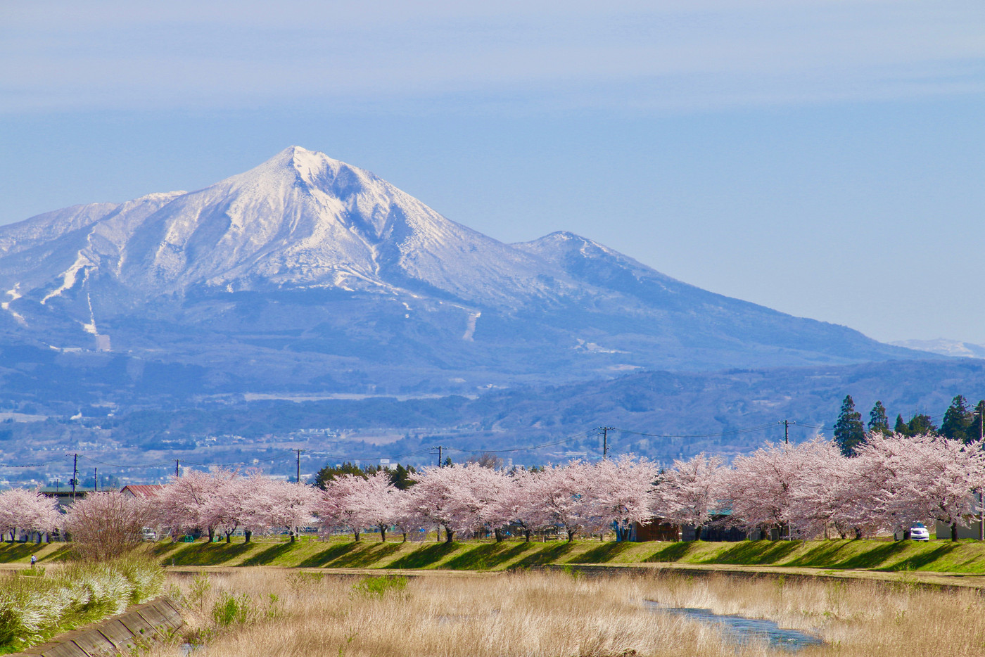 宮川の千本桜と磐梯山(福島県・会津美里町)