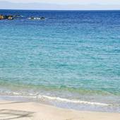 種子島あらきホテル（鹿児島県 ビジネスホテル） / 2