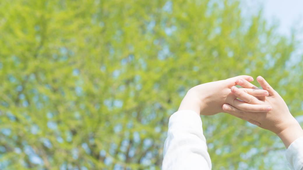 「北海道大学」で
札幌の朝を感じて / 4