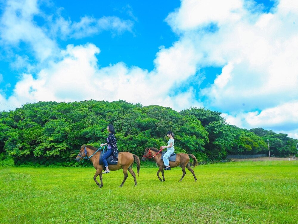 乗馬