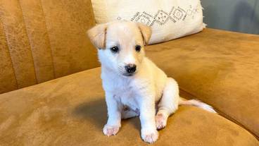 施設内の設備 / 5