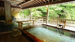 群馬・四万温泉◆子連れで行くほっこり温泉旅♩おすすめ旅館8選