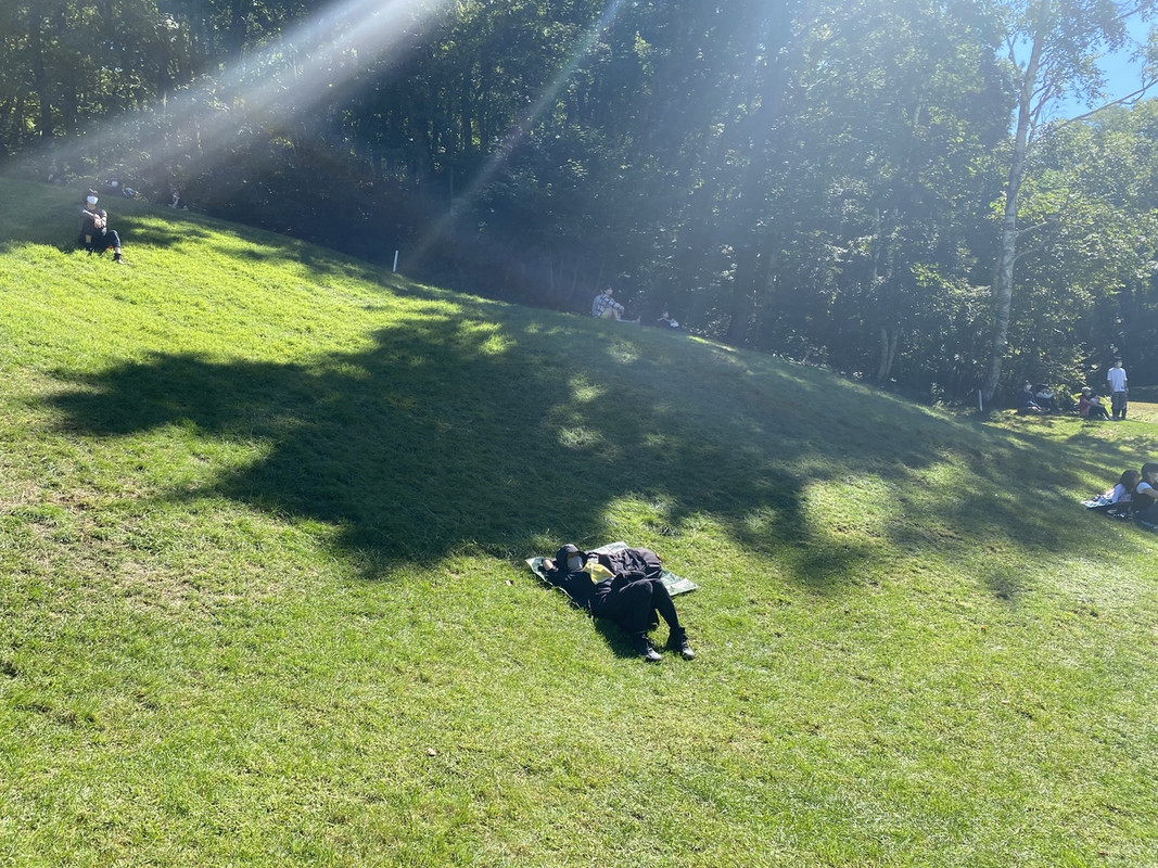 キレイに芝生も管理されていました！ゴロゴロ