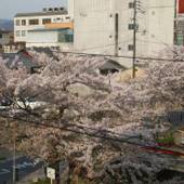 祇をん 新門荘（京都府 旅館） / 5