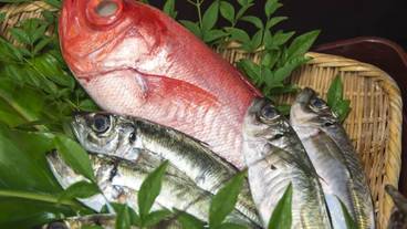 食事・飲み物 / 2