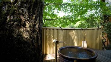 バスルームの設備 / 31