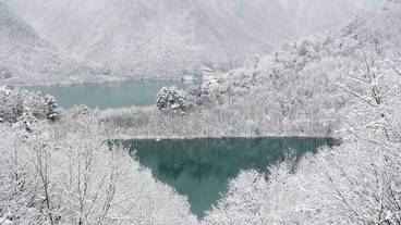 スノーシュー / 9