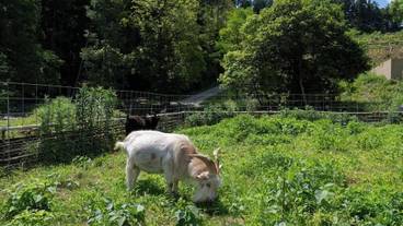 施設内の設備 / 5